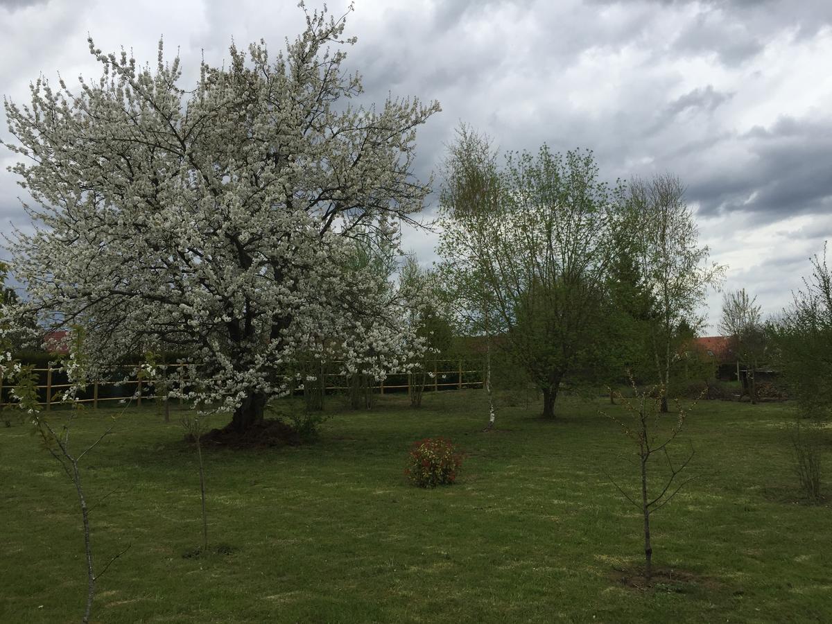 Casa La Palma II La Courmellette Apartman Soissons Kültér fotó